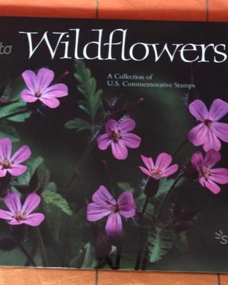 Usa wildflower 1991