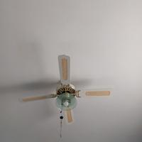 lampadario con pale 