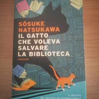 Libro romanzo