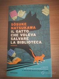 Libro romanzo