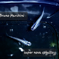 Medaka super nova cobalto