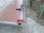 Immagine 1