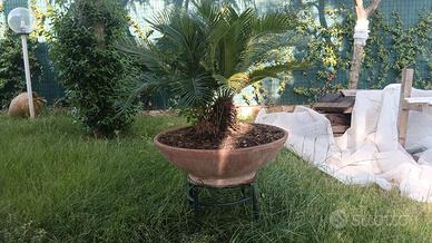 vaso terracotta