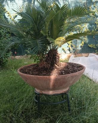 vaso terracotta
