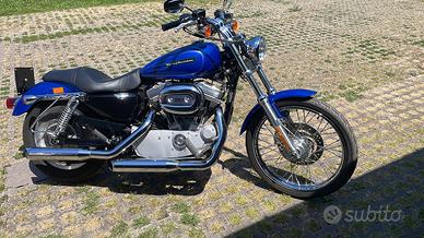 Harley Davidson Sposter 883 custom