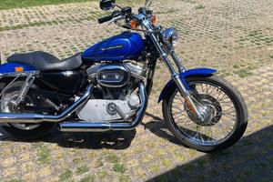 Harley Davidson Sposter 883 custom