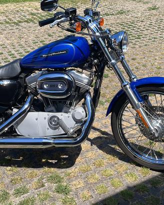 Harley Davidson Sposter 883 custom