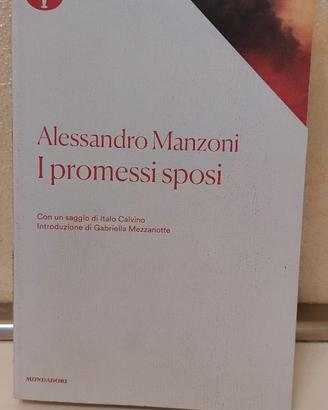 Libro "I promessi sposi"