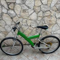 Bici pininfanina bicicletta