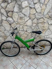 Bici pininfanina bicicletta