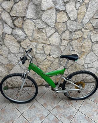 Bici pininfanina bicicletta