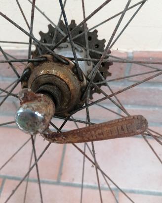 Ruota bici epoca mozzo Michelin