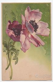 36 cartoline non viaggiate C. Klein