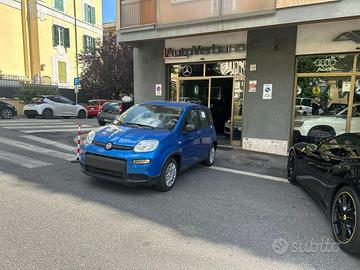 FIAT Panda 1.0 FireFly Hybrid -Pandina Nuovo Mod