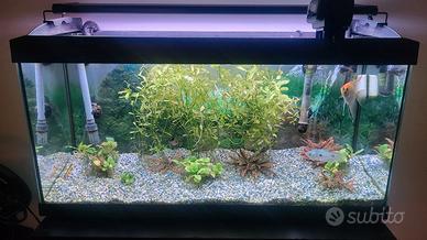 Acquario 80lt filtro esterno con Mobile e accessor