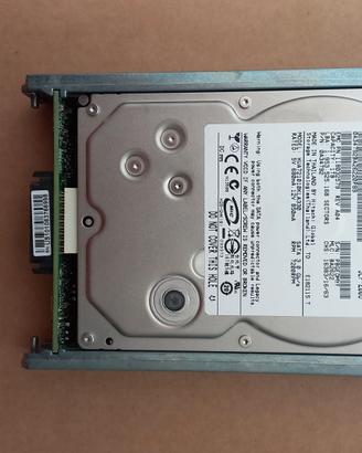 Hard Disk Hitachi Ultrastar – 1TB 7200RPM con cadd