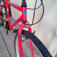 Specialized Hard Rock Cruz 1991 mountain bike