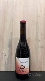 Bourgogne Rouge 2023 Rèno Pacalet