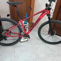 MTB bici 