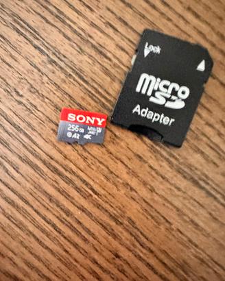 Microsd scheda memoria sony 256gb con adattatore