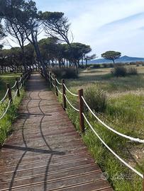 Casa vacanza la caletta di siniscola