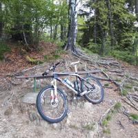 Bici MTB Olympia Nitro - ruote 26