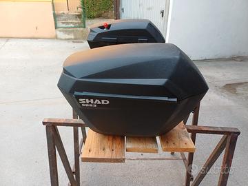 Bauletti laterali Benelli 500 trail