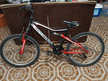 bicicletta 