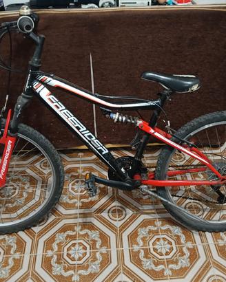 bicicletta 