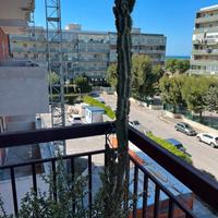 Cereus uruguayanus - cactus