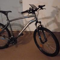 bicicletta mountainbike