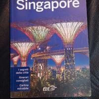 Guida Singapore Lonely Planet in italiano 