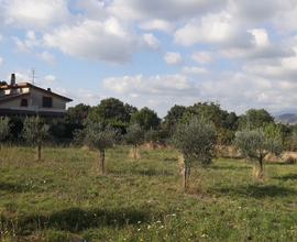 Terreno a gallicano