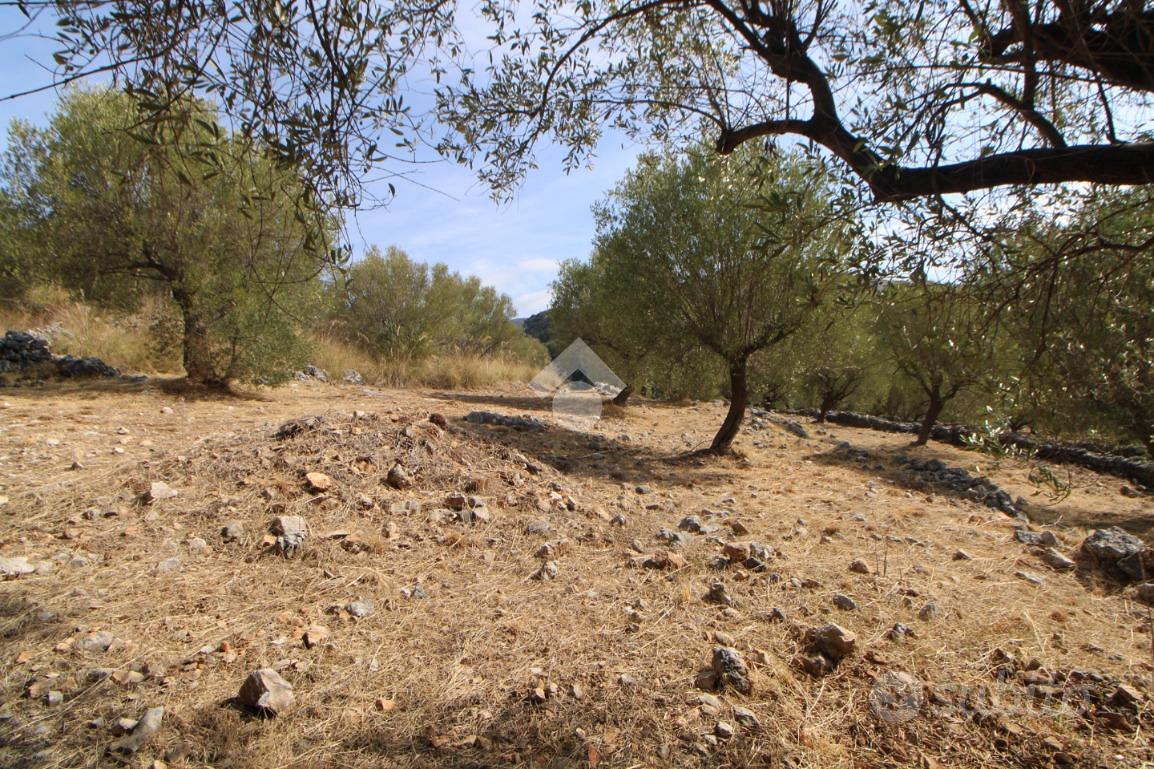 RUSTICO A CAMEROTA - Vista 5