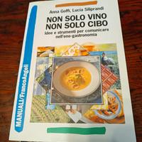 Libro non solo vino 🍷 non solo cibo Franco Angeli