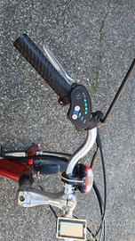bici a 3 ruote elettrica 