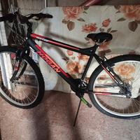 Bici Hogan