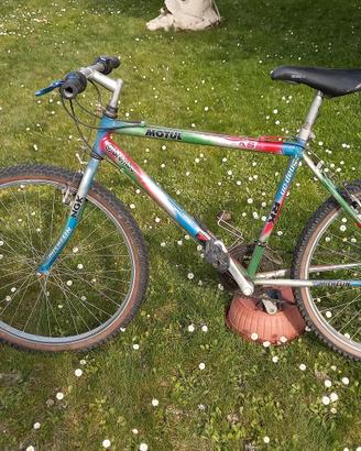 mountain bike