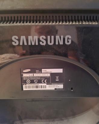 Monitor Samsung 22 pollici