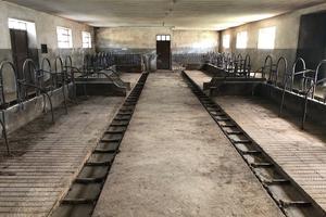 Stalla per bovini/ovini