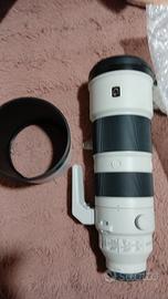 Sony FE 200-600 F5.6 6.3 G OSS