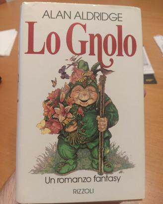 Lo Gnolo libro fantasy di Alan Aldridge Prima ed.