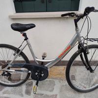 bicicletta
