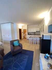 MONOLOCALE A BASIGLIO