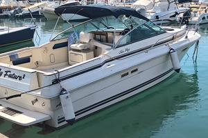 Sea Ray 27 piedi modello 270 Amberjack