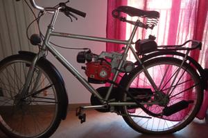 Alrendo Altro modello