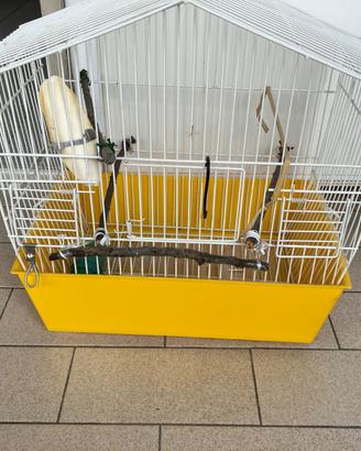 Gabbia per uccellini