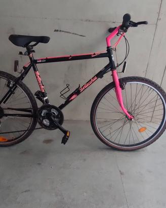 MTB Bottecchia vintage