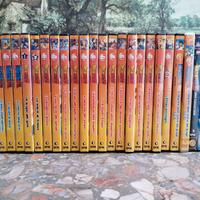 DVD Dragonball