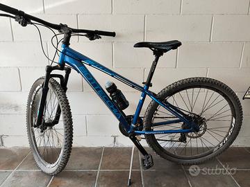 Bicicletta MTB Mountain Bike Bottecchia blu